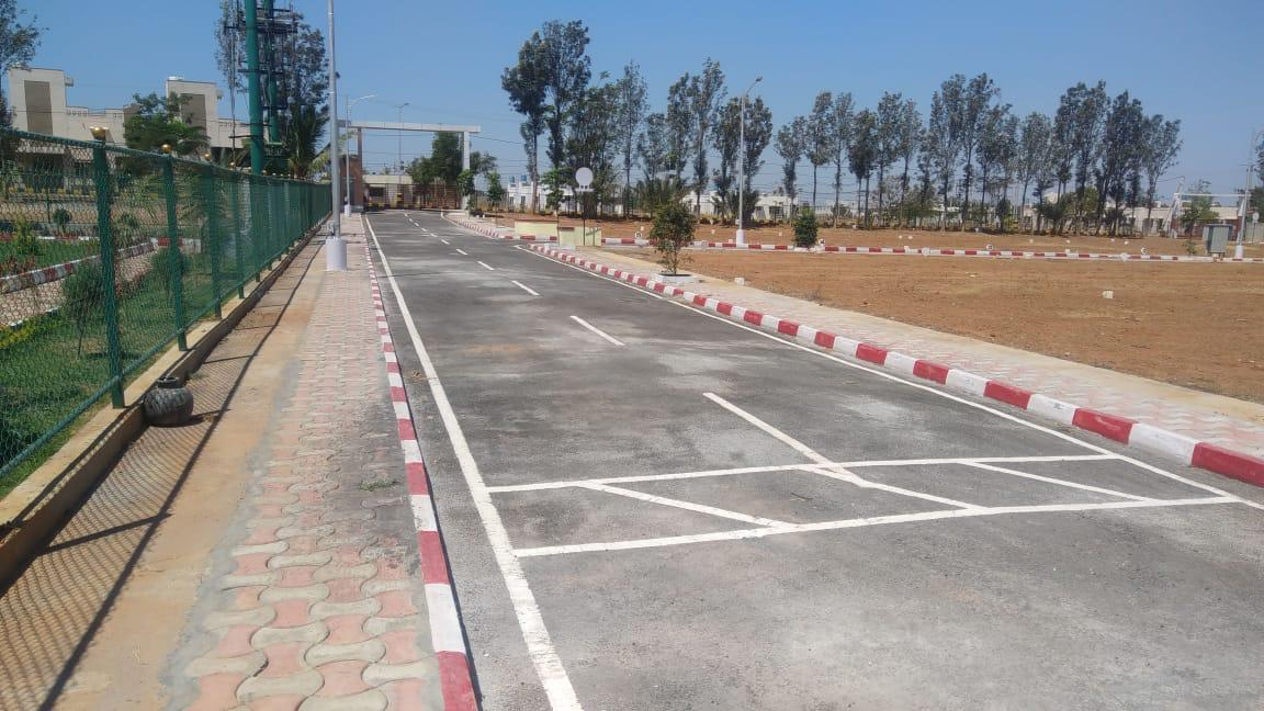 Street Development